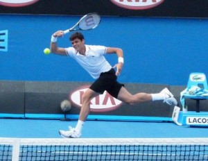 Raonic