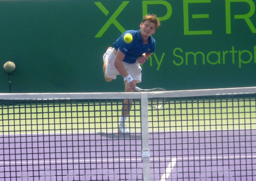 Goffin 1