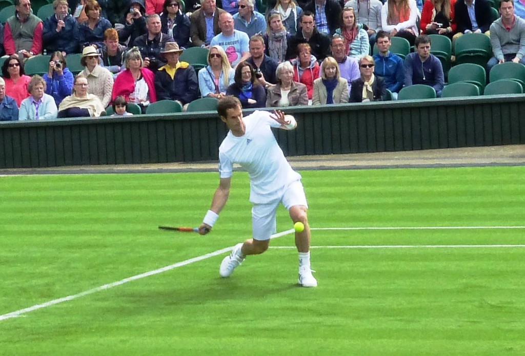 Murray1