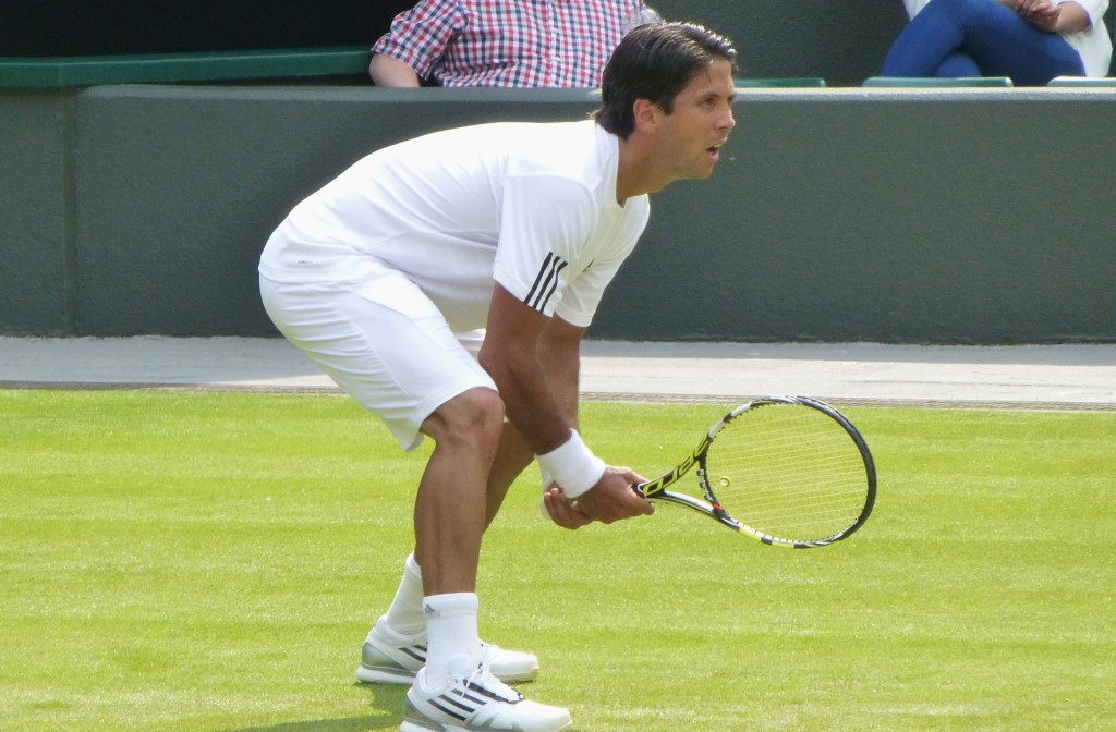 Verdasco1