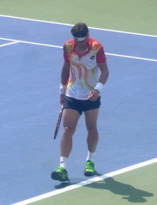 Ferrer shorts