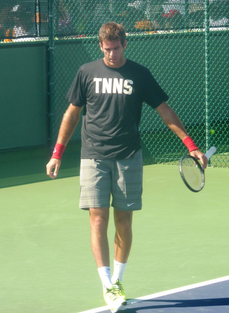 Delpo 5