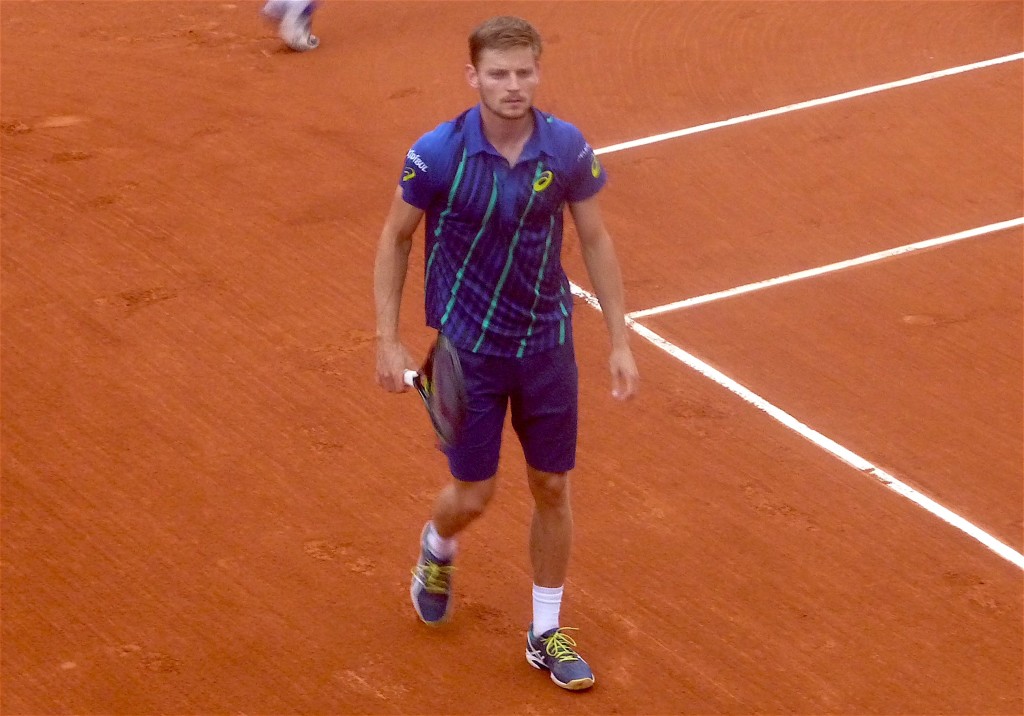 Goffin 1