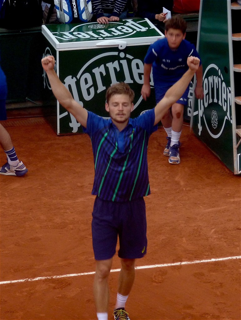 Goffin wins