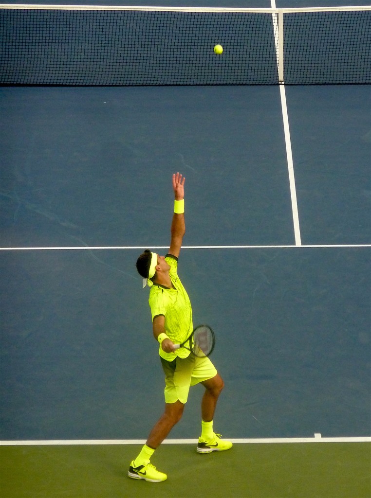 Delpo 1