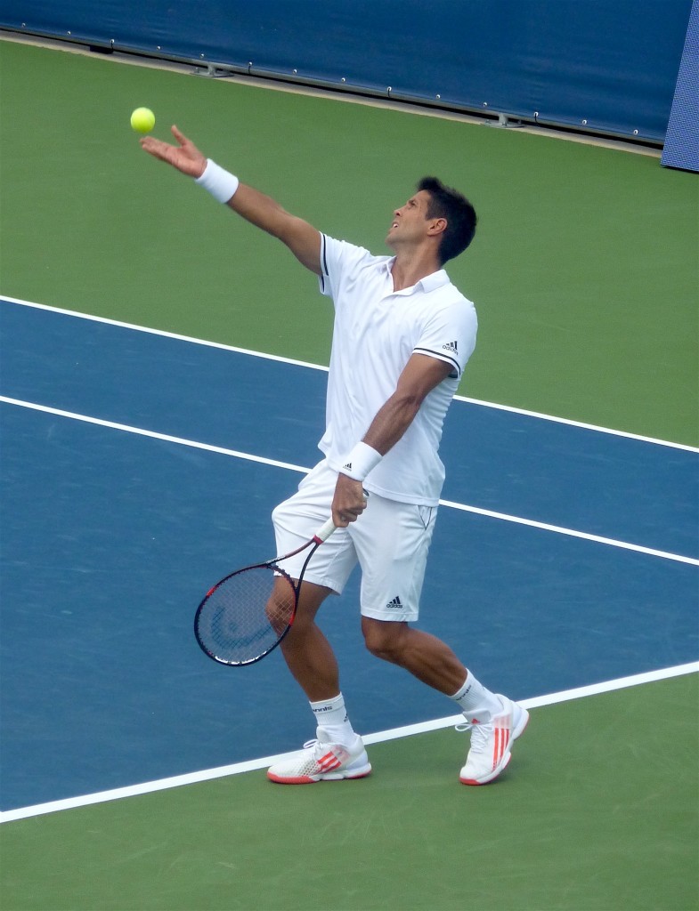 This image has an empty alt attribute; its file name is Verdasco-2-785x1024.jpg